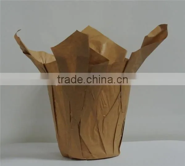 Foil Flower Pot Cover Decoration and bopp pot covers