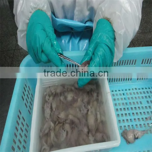 new season block frozen seafood/recipes for squid