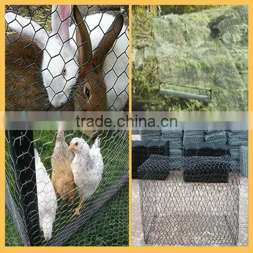 Iron Wire and Wire Netting