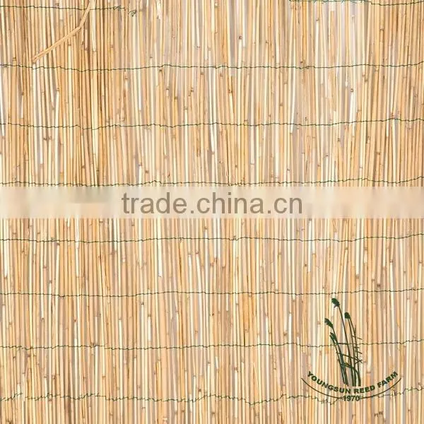 rolled reed fences