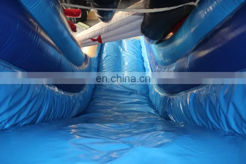 Attractive Inflatable Water Slide for Kids and Adults