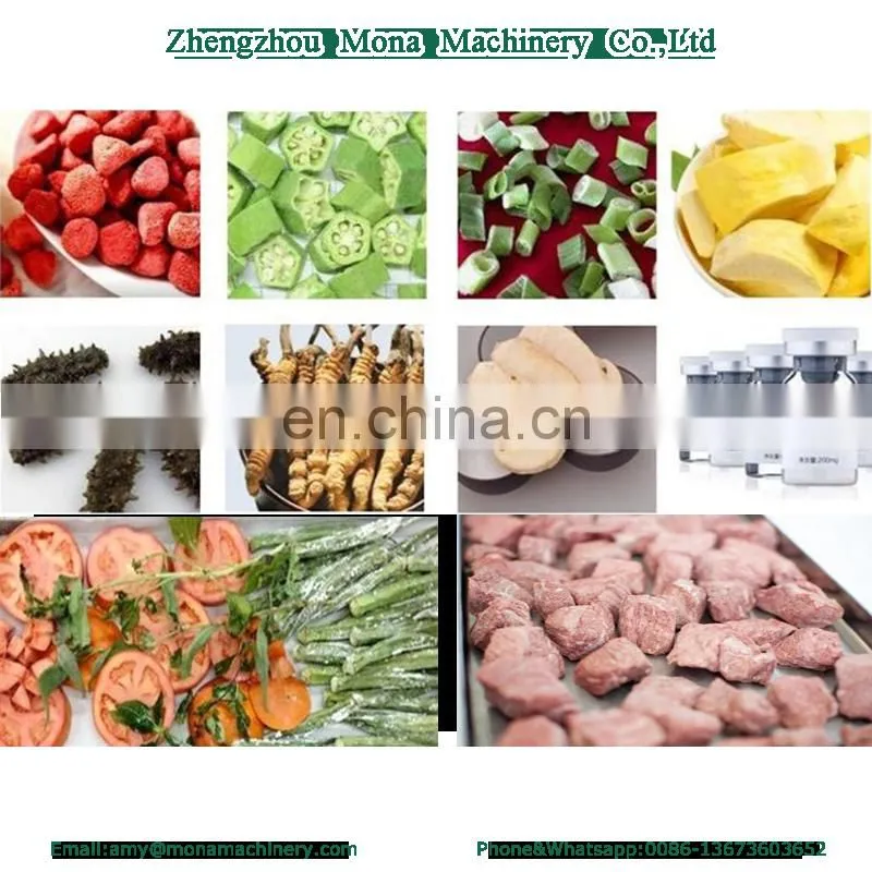 Small Freeze drying machine /Vacuum freeze dryer