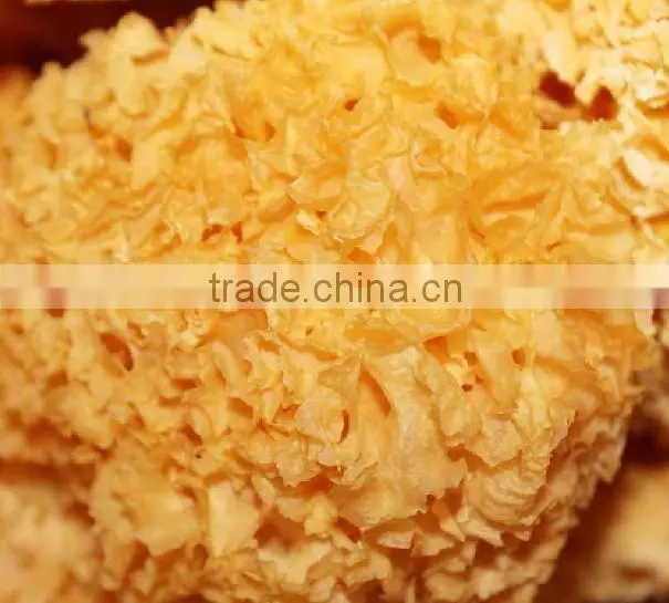 farm produce natural special grade tremella,yiner