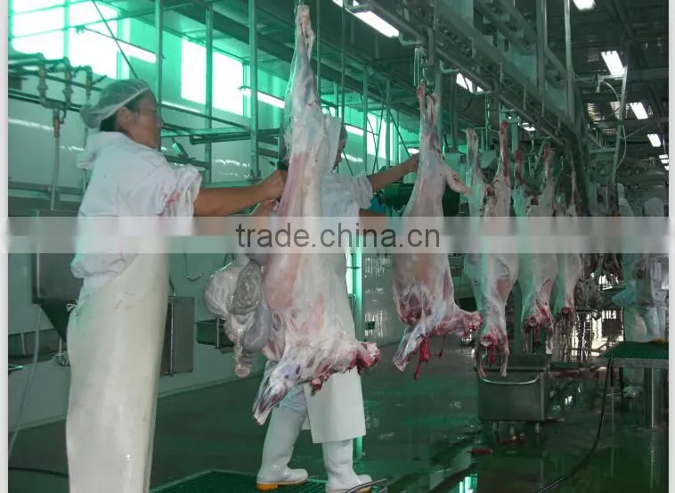 High efficient goat meat poultry processing equipment companies