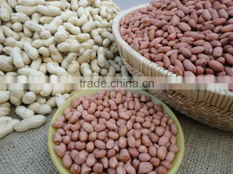 best selling products peanuts 1kg price groundnuts for sale
