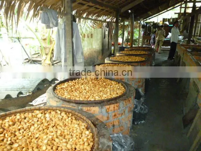 SELLING BOILED BETEL NUT Wrinkle seeds FROM VIETNAM