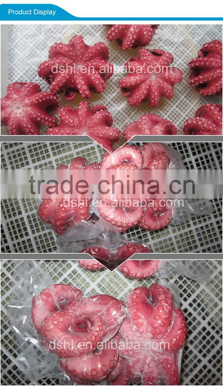HL089 healthy fresh octopus wholesale
