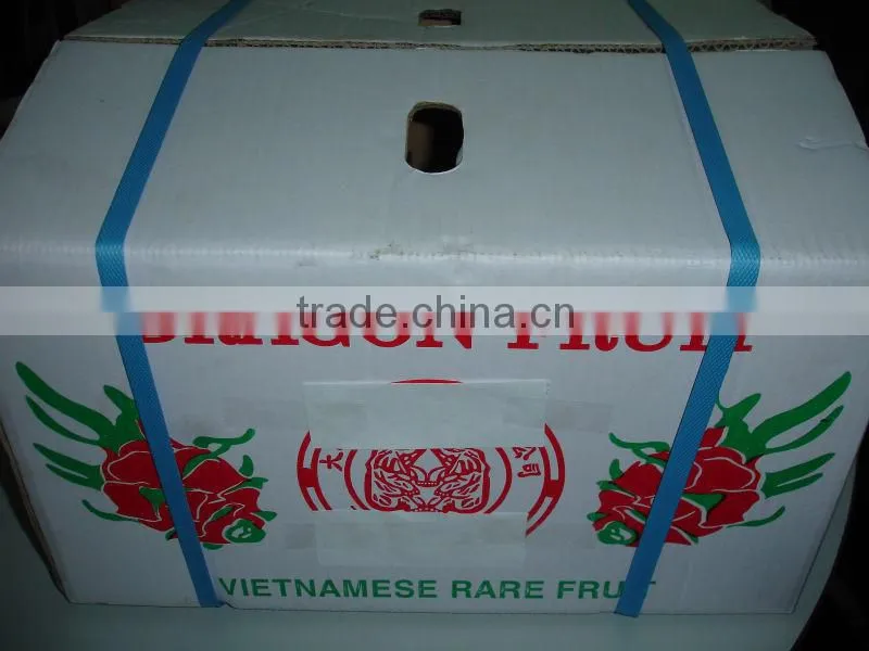 Fresh Dragon Fruit