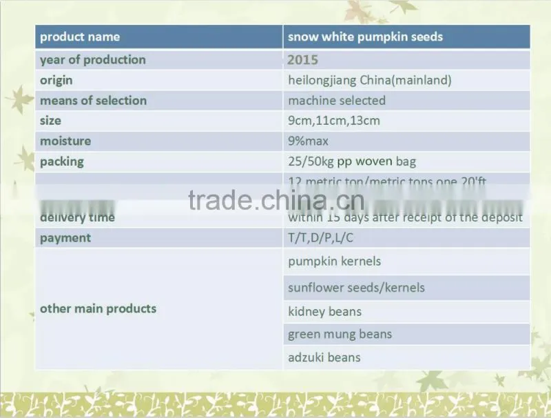 New Crop High Quality Snow White Pumpkin Seeds, Certified!