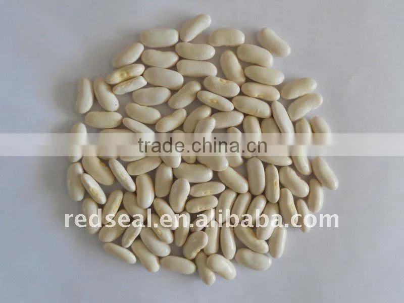 Low price large white kidney beans