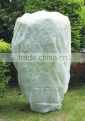 hot sale 30g cheap pp fabric for agriculture with ISO9001