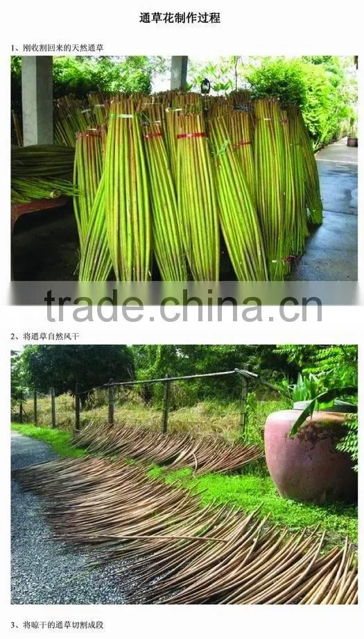 hot sale high quality Sola flower fragrance diffuser