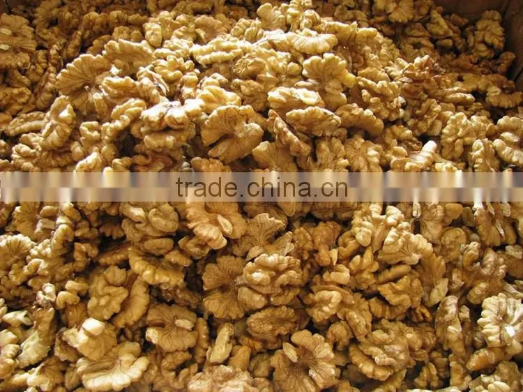 cheap walnut meat with great price