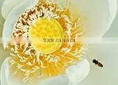 Buying online in china Smoke out fragrance, daily need air freshener