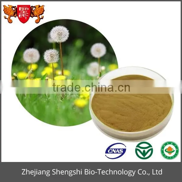 High quality artificial dandelion flower extract, dandelion extract powder, dried dandelion powder