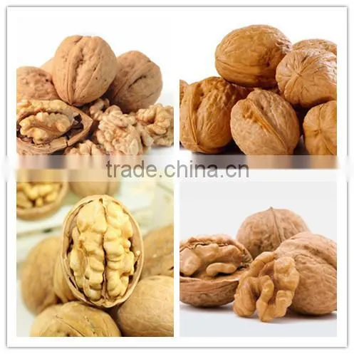 Supply Walnut Kernel, Walnut in Shell with high quality