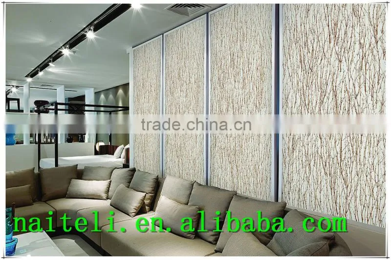 Modern Decorative Acrylic Panel Shower Doors
