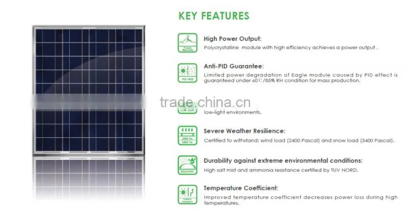 SunMaster 120w Poly Solar Panel SM120P