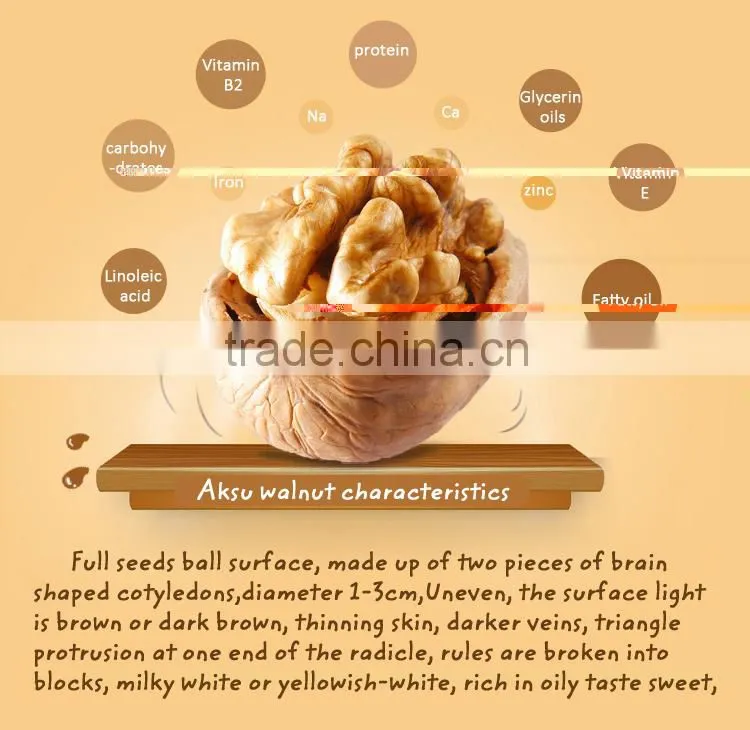 New crop dried fruit walnut