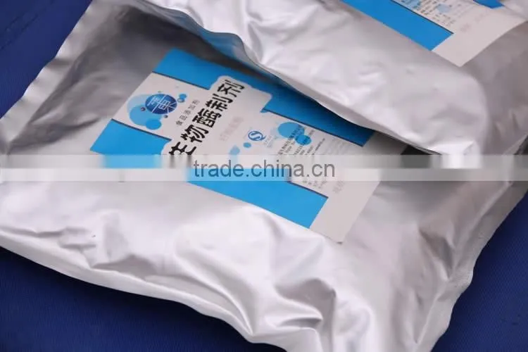 Lowest price bromelain powder manufacturer supply pineapple flavour powder