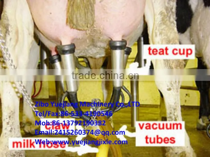 milking machine for cow