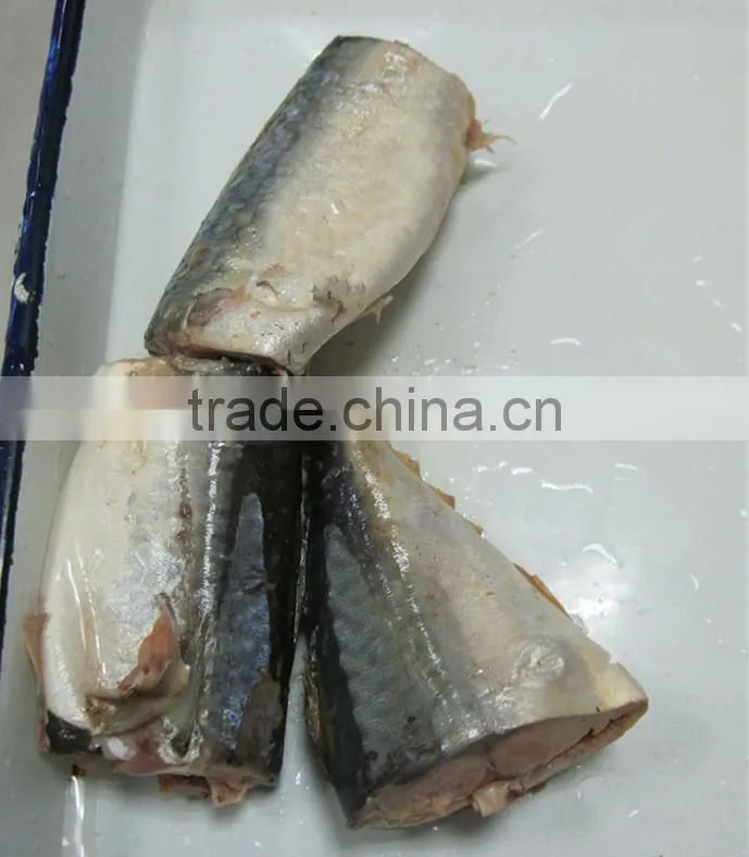 export canned mackerel brands ,canned mackerel