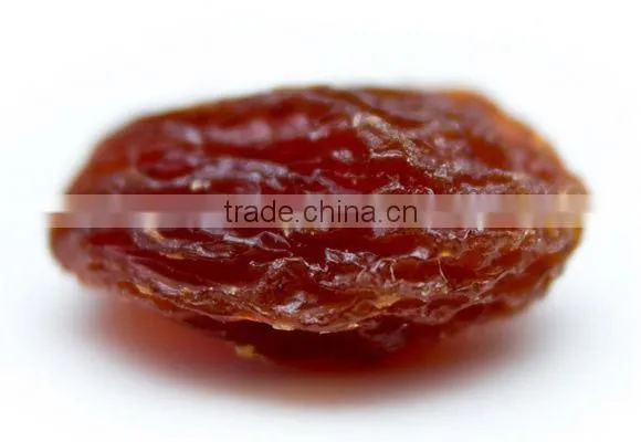 INDUSTRIAL RAISIN FOR VINEGAR & WINE
