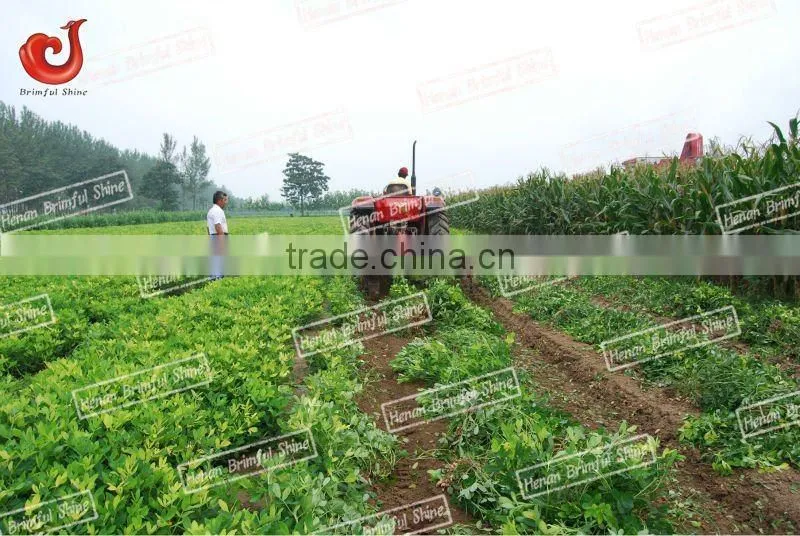 Potato Digger For Sale