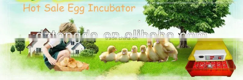 Top selling newly design full automatic mini incubator egg incubator tongda brand