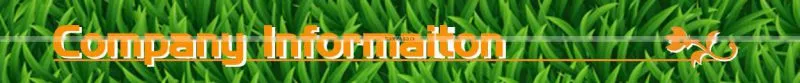 20L Hot Sale Manual Pressure Garden Sprayer