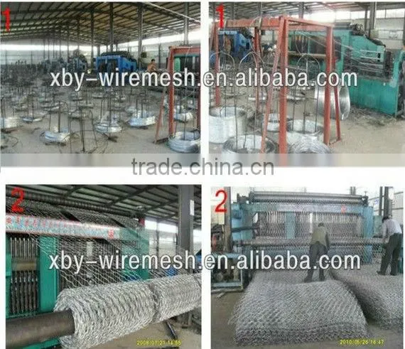 Aviary Netting China Factory