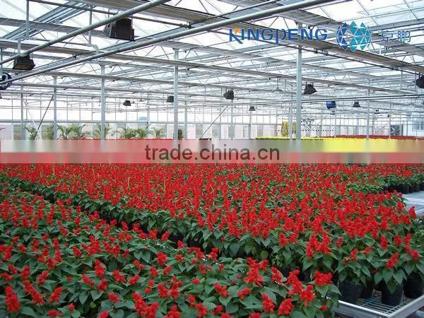 Flower Growing Greenhouse