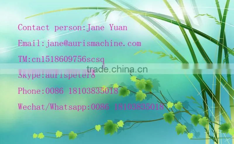 Chinese industrial rice cooking equipment machine