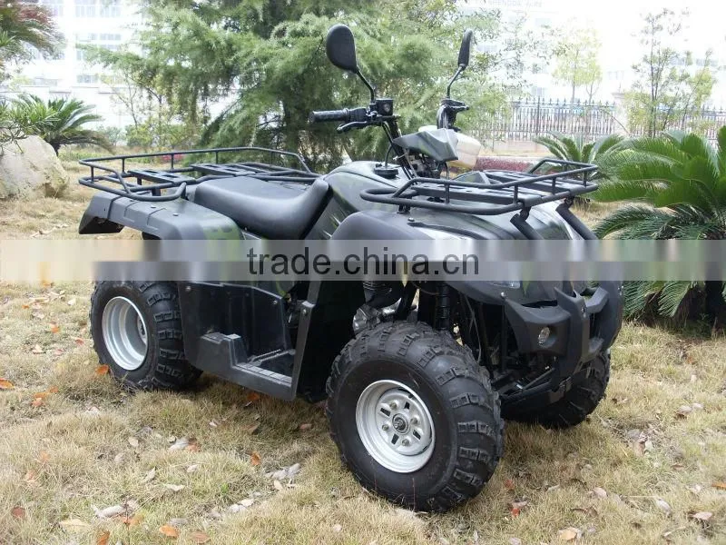 2016 new beach buggy 250cc
