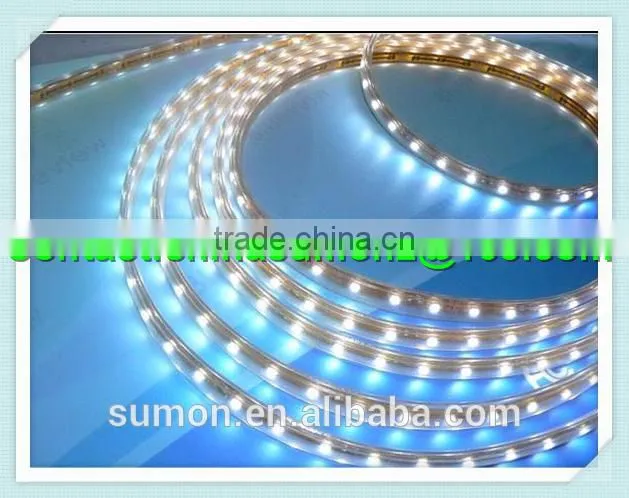 China supplier SMD holiday LED lighting 110 220V 60leds/m dmx rgb led strip light
