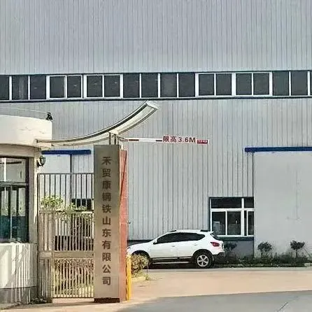 Hemaokang Steel (Shandong) Co., Ltd. company overview - view 1