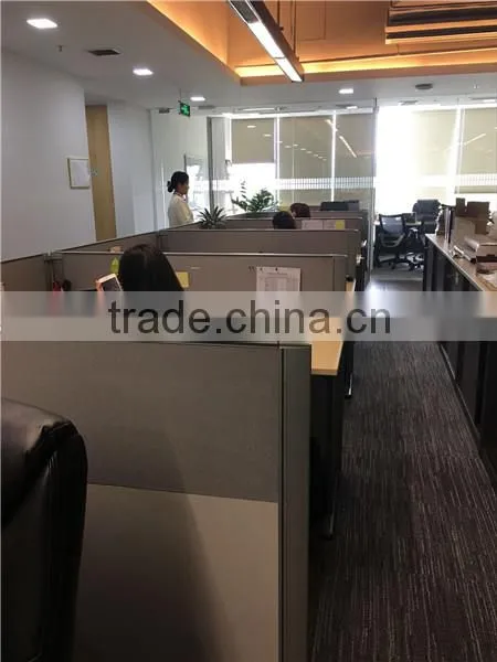 Dongguan Goflora Arts&Crafts Co., Ltd. company overview - view 2
