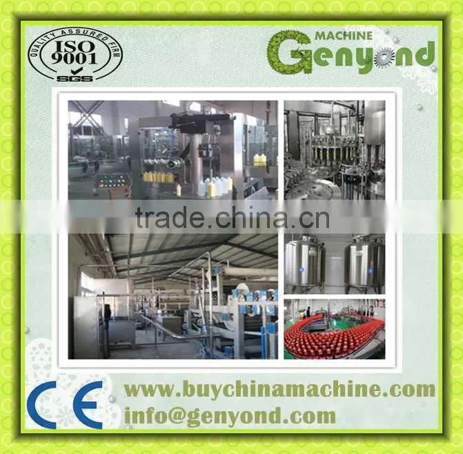 Professional automatic fresh fruit juice production line (Turkey Project) with factory price