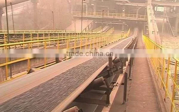 endless conveyor belt