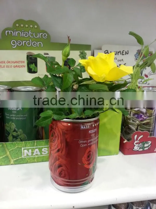 Tin can flower.Rose Flower