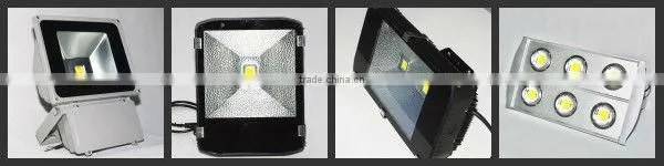 China factory factory price stadium golf project Meanwell driver 300W cree led flood light