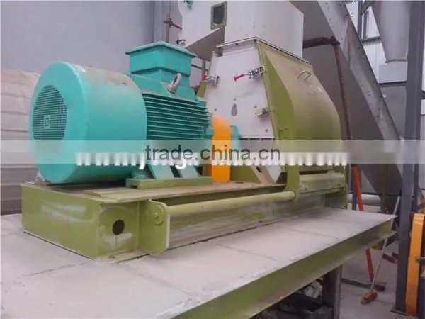 With ISO certificate Professional manufacturer eel feed hammer mill