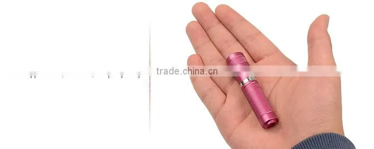 Guangdong new product R5 300 Lumens AAA NiMH 10440 battery torch flash light