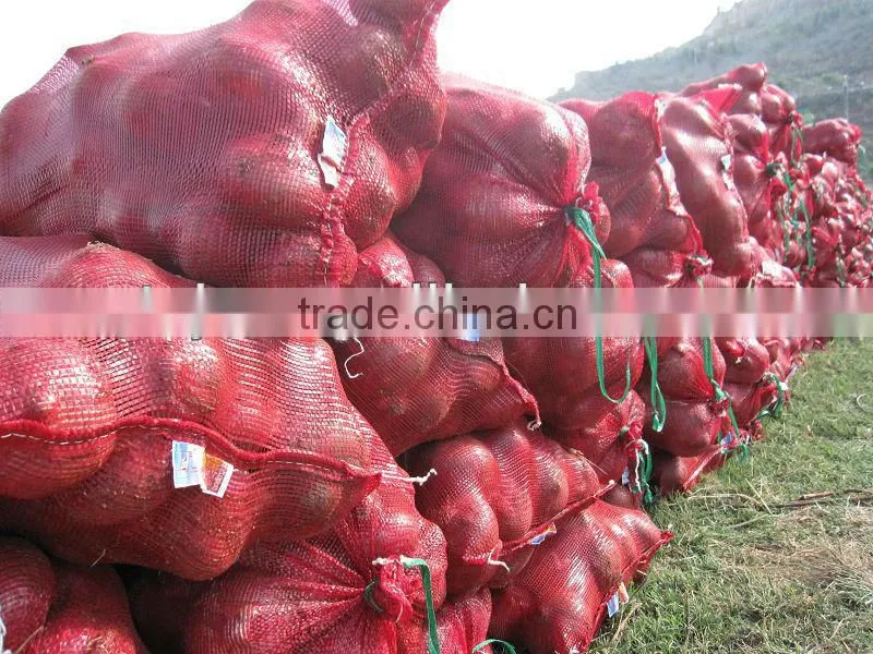 New and bulk crop onion