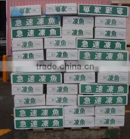 (Cololabis sairs)frozen whole round saury