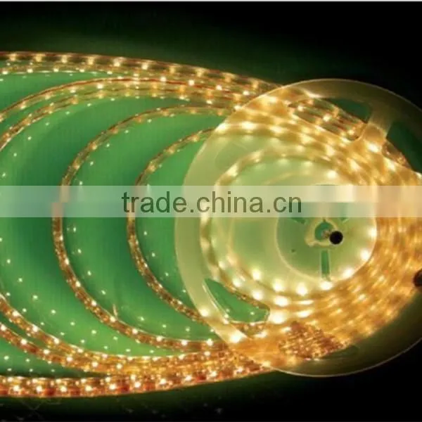 5m raysnow led strip for chirstmas party decoration DC12V rgb led strip 3528 LED strip