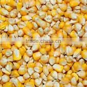 ANIMAL FEED