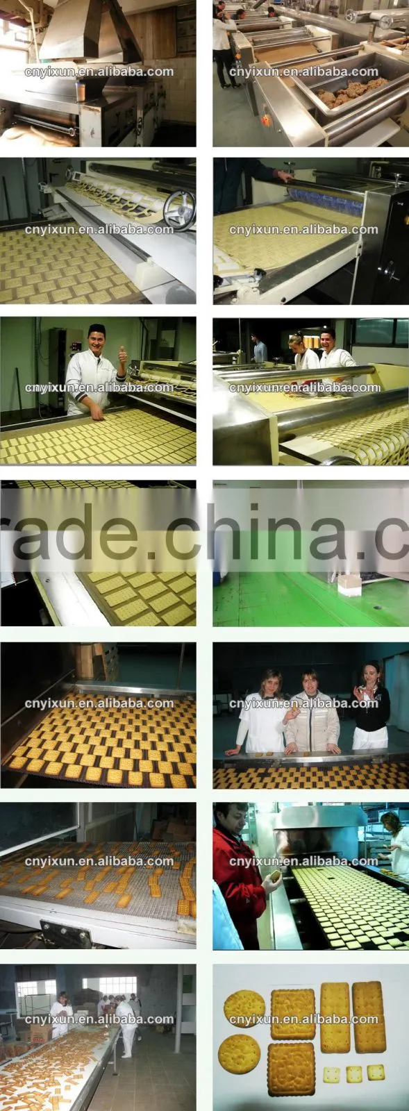 YX-1000 Factory price Shanghai food confectionery professional ce small scale biscuit making machine