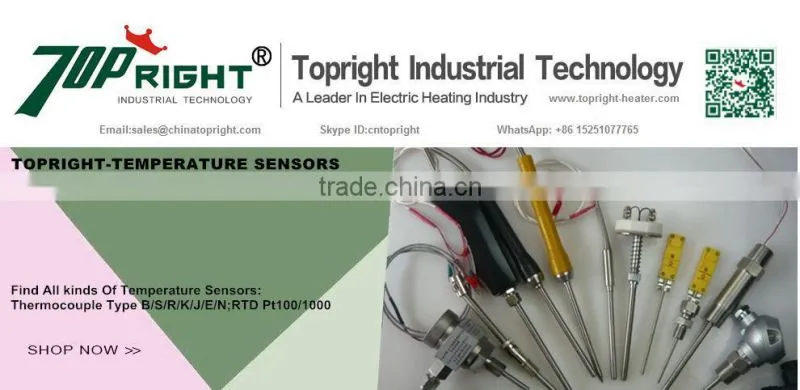 Ptrh10-pt WRP S type thermocouple with ceramic tube in 500mm and metal tube 150mm