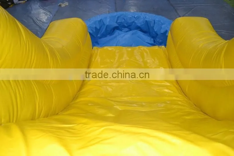 SUNJOY Funny dolphin inflatable house bounce kids water slide